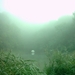 IM001151