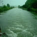 IM001155
