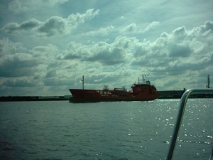 IM001443