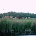 sleeuwijk-01