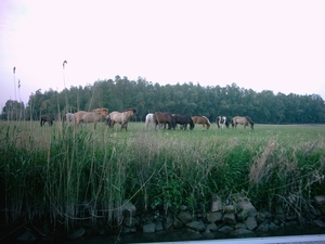 sleeuwijk-01