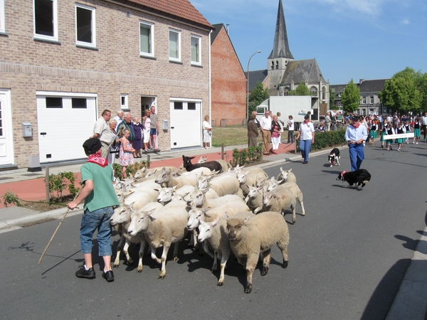 Steenhuffel processie 2009 017