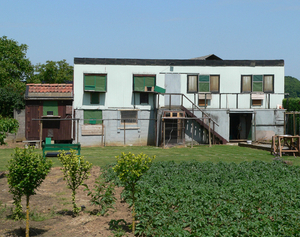 Duiventil
