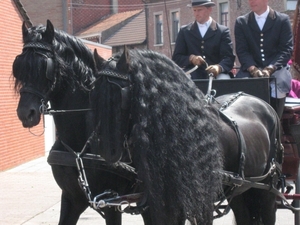 Zoutleeuw Sint-Leonardusprocessie 2009 076