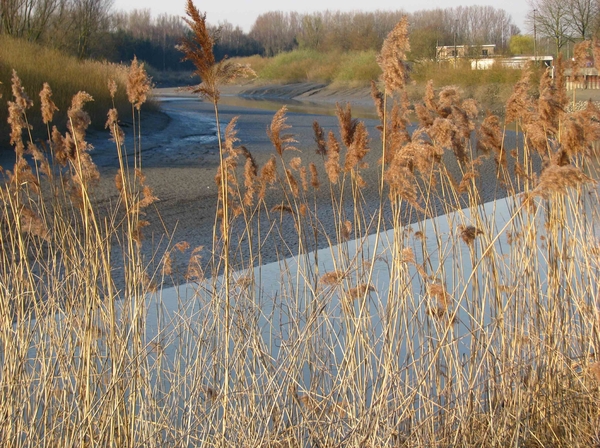 Langs Durme en Oude Durme