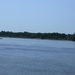 de omgeving