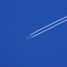 280509ROY 215