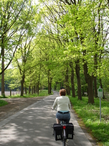 Oost-Eeklo