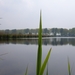 De Kreken