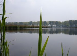 De Kreken