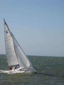 Oostende voor Anker  2009 068