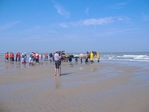 picaso fotos aan zee o9 023