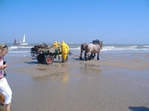 picaso fotos aan zee o9 025