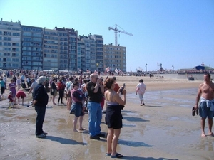 picaso fotos aan zee o9 027