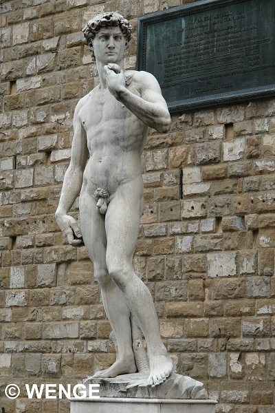 489 FIRENZE PAL.VECCHIO W