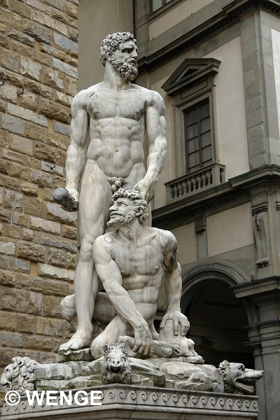 493a FIRENZE PAL.VECCHIO W