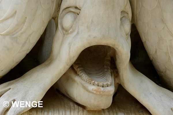 601a FIRENZE BOBOLI G