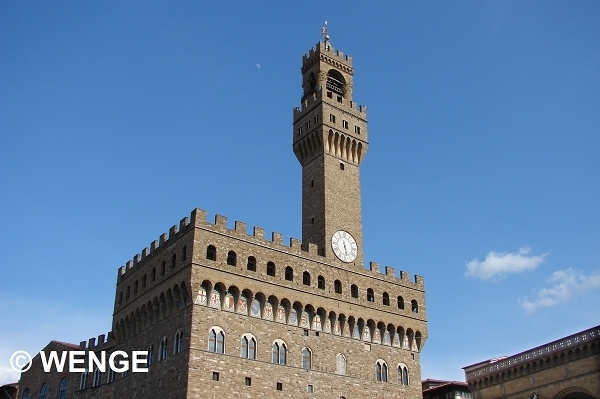 635a FIRENZE PAL.VECCHIO G