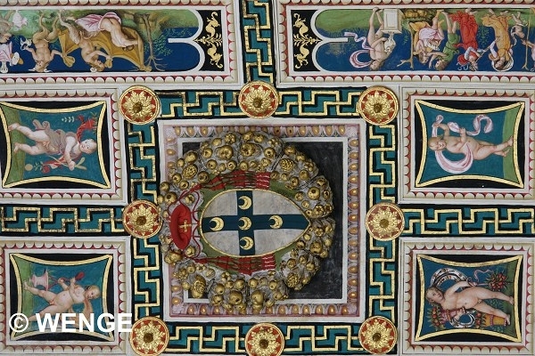 763a SIENA LIBR.PICCOLOMINI W