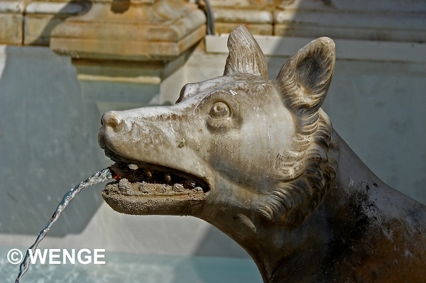 777a SIENA FONTE GAIA G