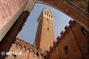 794b SIENA TORRE DEL MANGIA G