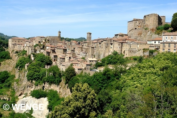 960a PITIGLIANO W