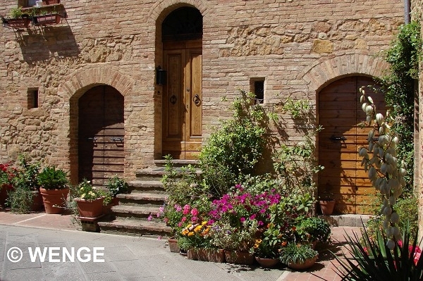 986a PIENZA G