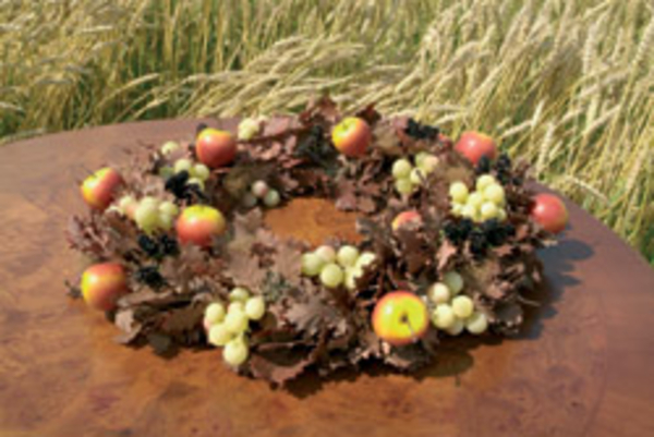 nr 17  herfst
