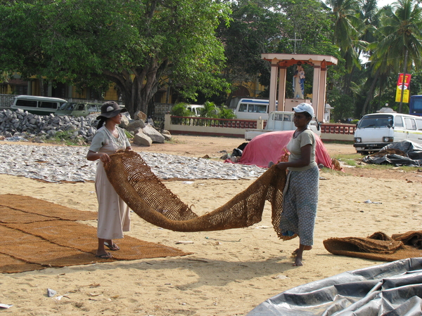 Bedrijvigheid als de vissers van zee komen