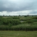Afbeelding 010 (Medium)