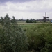 Afbeelding 012 (Medium)