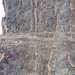 IMG_0359