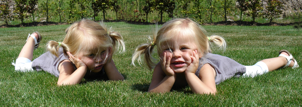 2 hannekes