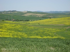 toscane 108