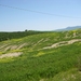 toscane 114