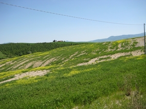 toscane 114