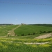 toscane 115