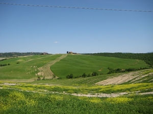 toscane 115