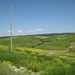 toscane 116
