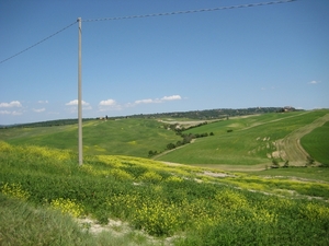 toscane 116