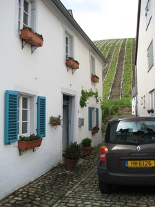 toscane 207