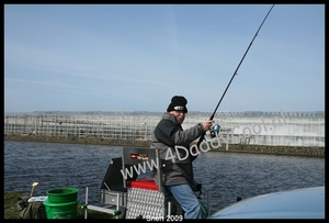 IMG_0415-border
