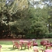 DSCF0030