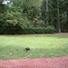 DSCF0033
