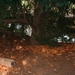 DSCF0036