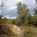 bospad
