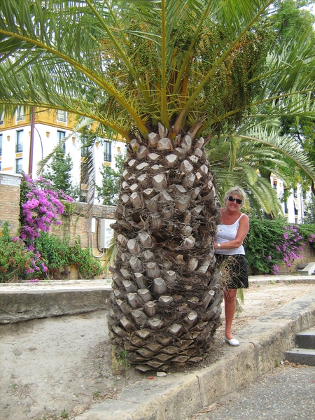 Koekoek zie je mij ?