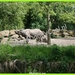 IMG_1866-border