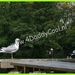 IMG_1881-border