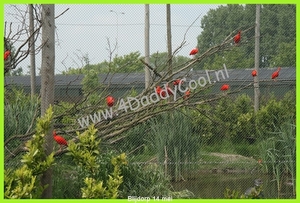 IMG_1906-border